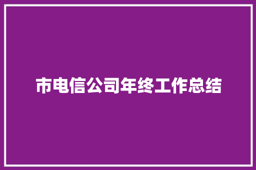 市电信公司年终工作总结