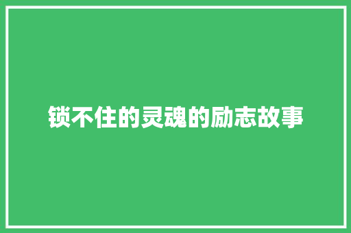 锁不住的灵魂的励志故事