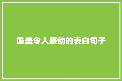 唯美令人感动的表白句子 书信范文