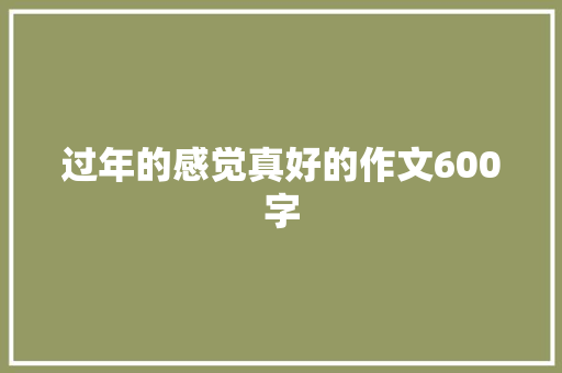 过年的感觉真好的作文600字 工作总结范文