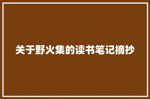 关于野火集的读书笔记摘抄 论文范文