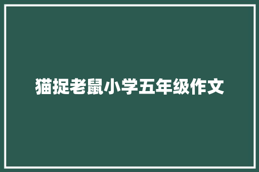 猫捉老鼠小学五年级作文 论文范文