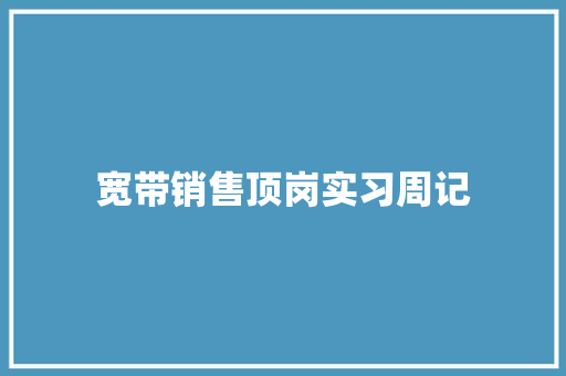 宽带销售顶岗实习周记