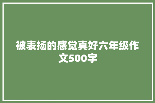 被表扬的感觉真好六年级作文500字