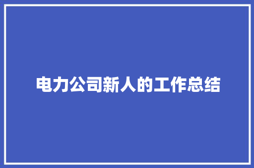 电力公司新人的工作总结