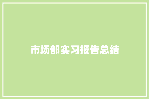 市场部实习报告总结