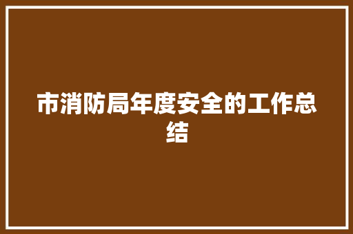 市消防局年度安全的工作总结 职场范文