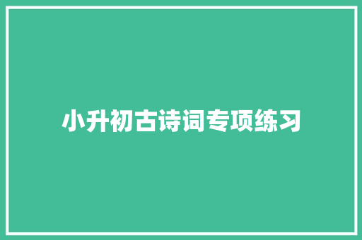 小升初古诗词专项练习 论文范文