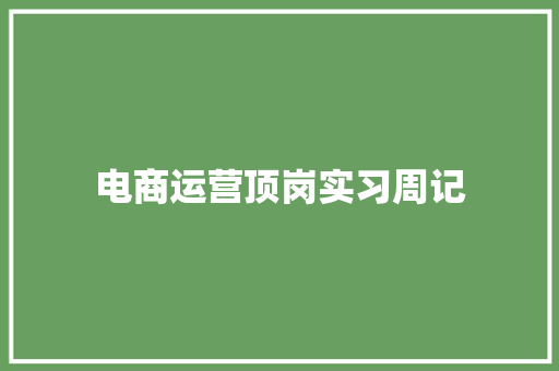 电商运营顶岗实习周记