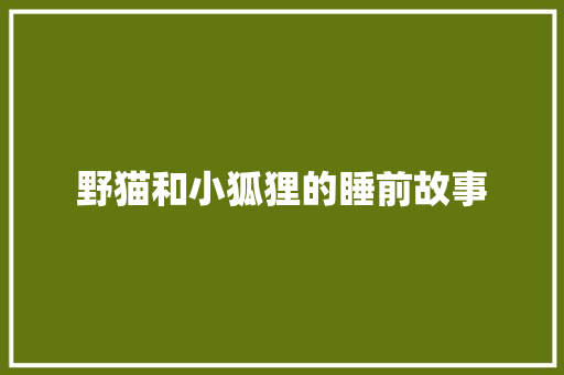 野猫和小狐狸的睡前故事