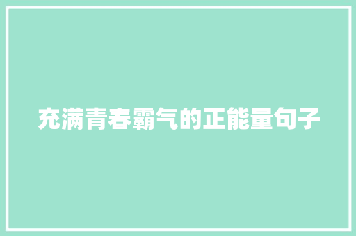 充满青春霸气的正能量句子 简历范文