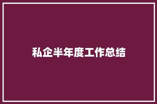 私企半年度工作总结 报告范文