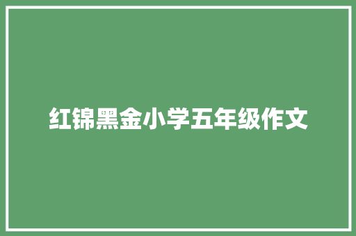 红锦黑金小学五年级作文