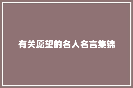 有关愿望的名人名言集锦