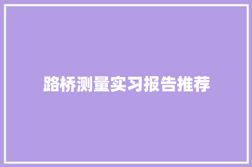 路桥测量实习报告推荐 论文范文