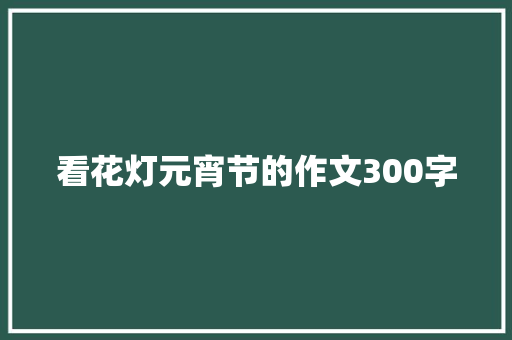 看花灯元宵节的作文300字