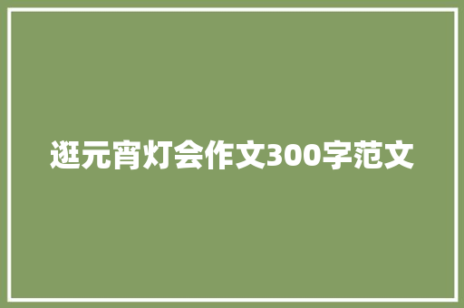 逛元宵灯会作文300字范文