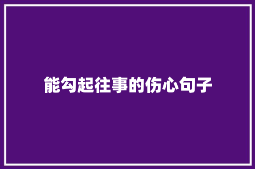 能勾起往事的伤心句子 会议纪要范文