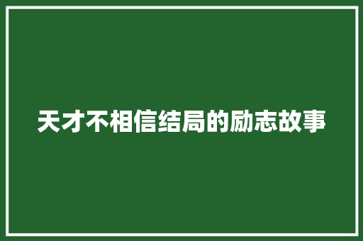 天才不相信结局的励志故事