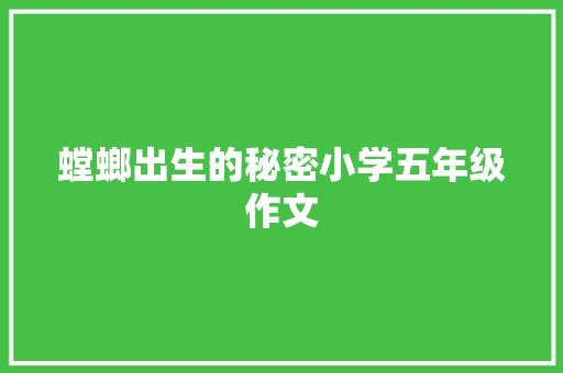 螳螂出生的秘密小学五年级作文