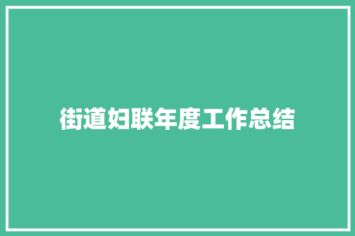 街道妇联年度工作总结