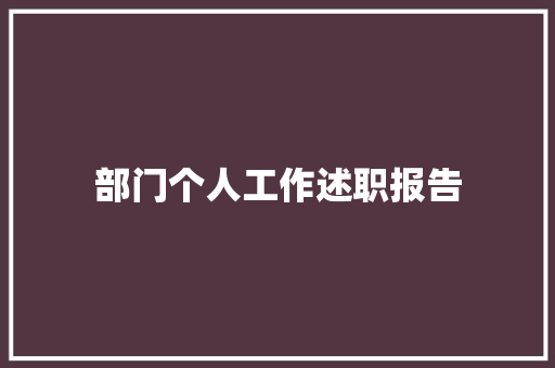 部门个人工作述职报告 职场范文