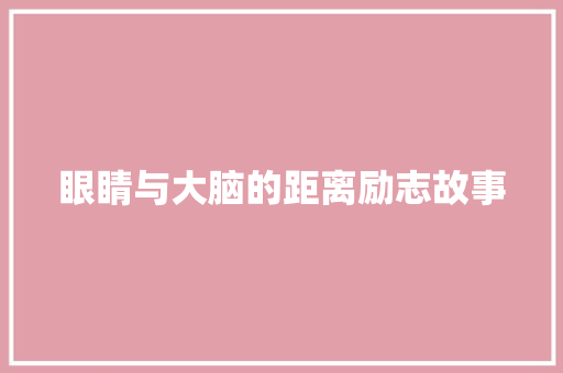 眼睛与大脑的距离励志故事 学术范文