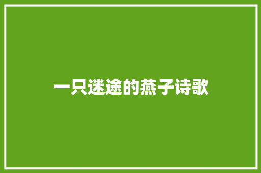 一只迷途的燕子诗歌