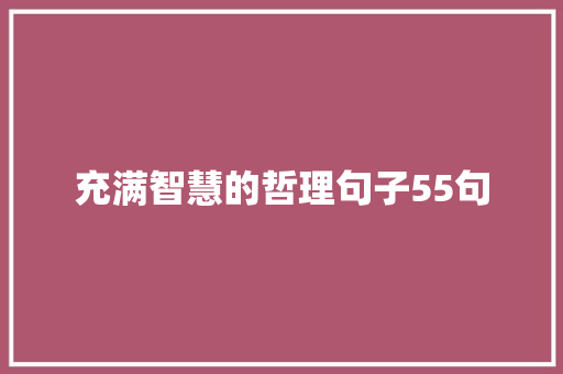 充满智慧的哲理句子55句 报告范文