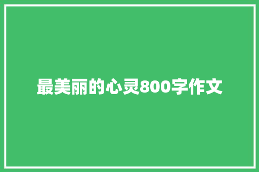 最美丽的心灵800字作文 职场范文