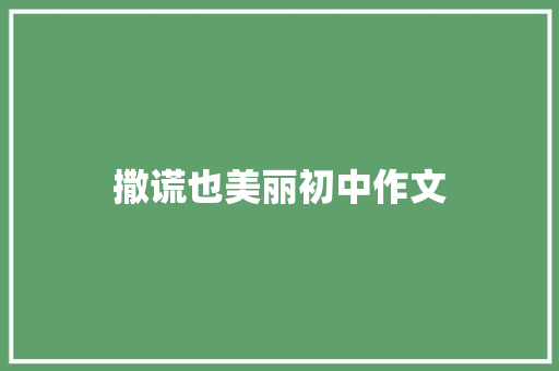 撒谎也美丽初中作文 会议纪要范文