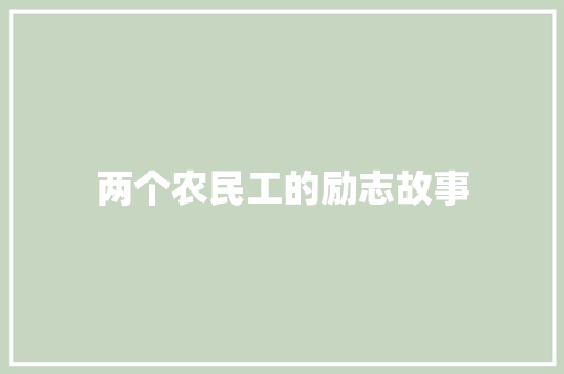 两个农民工的励志故事