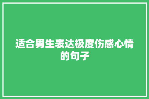 适合男生表达极度伤感心情的句子