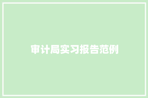 审计局实习报告范例