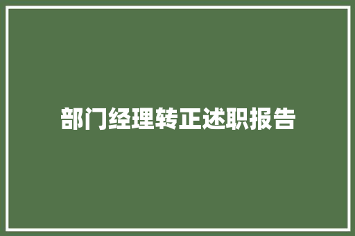 部门经理转正述职报告