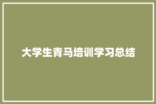 大学生青马培训学习总结 工作总结范文