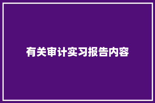 有关审计实习报告内容