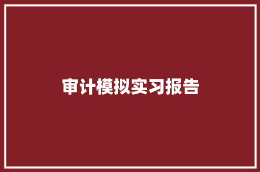 审计模拟实习报告