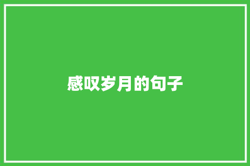 感叹岁月的句子