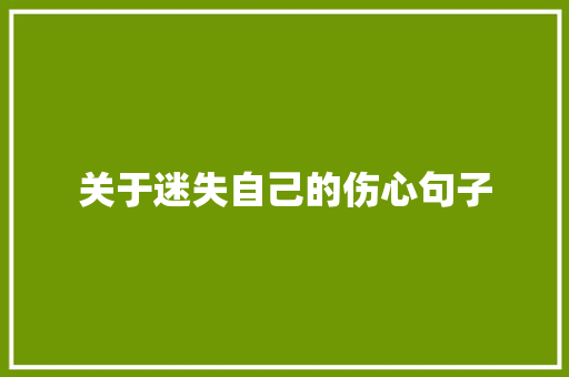 关于迷失自己的伤心句子 学术范文