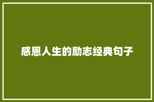 感恩人生的励志经典句子