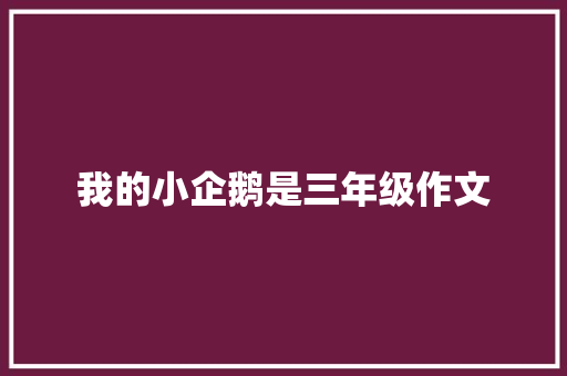 我的小企鹅是三年级作文 职场范文