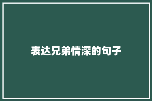 表达兄弟情深的句子 求职信范文