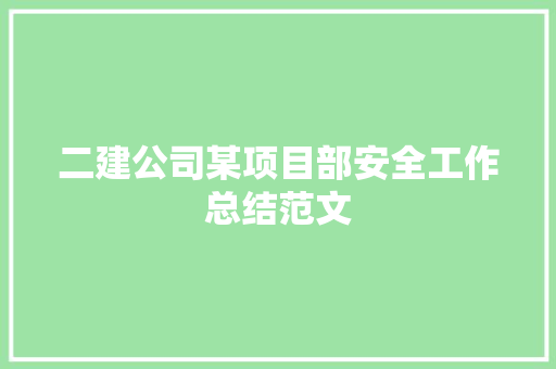 二建公司某项目部安全工作总结范文 学术范文