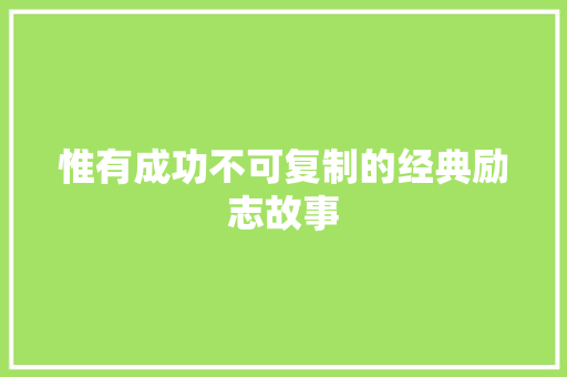 惟有成功不可复制的经典励志故事 演讲稿范文