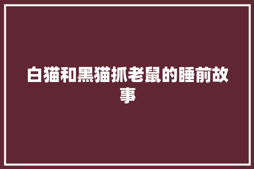 白猫和黑猫抓老鼠的睡前故事