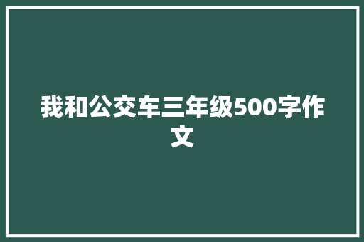 我和公交车三年级500字作文