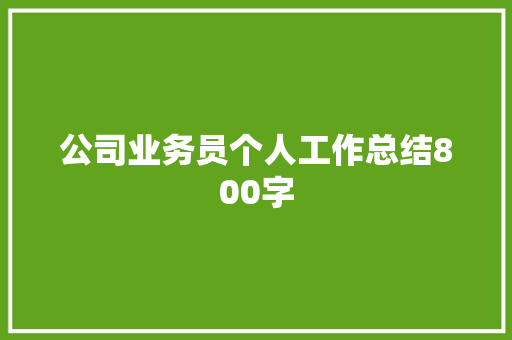 公司业务员个人工作总结800字 工作总结范文