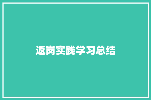 返岗实践学习总结