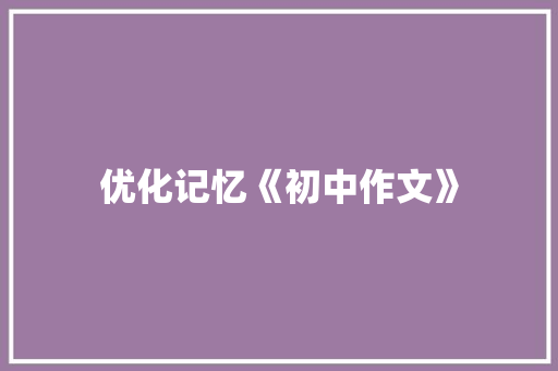 优化记忆《初中作文》